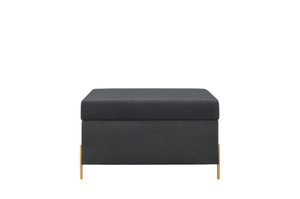Dancan Borgo Polsterbank Mit Stauraum / Sitztruhe Mit Goldenen Beinen / Fussbank / 80 Cm / Grau